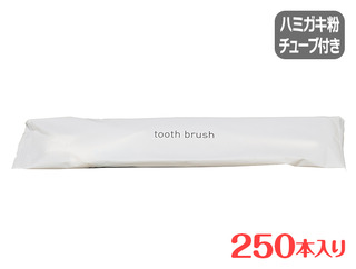 ミスティ2チューブ付歯ブラシ(250本)