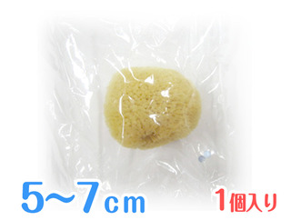 天然海綿(5～7cm)1個