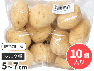 天然海綿(5-7cm)10個入り
