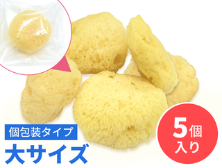 天然海綿　大　5個入り　【個包装タイプ】