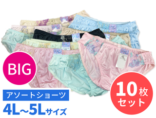 【在庫限り】【4L-5Lサイズ】フルバックショーツ10枚入り　アソートセット