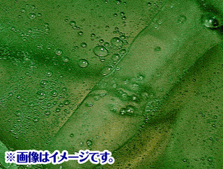 No.3